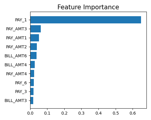 Feature Importance