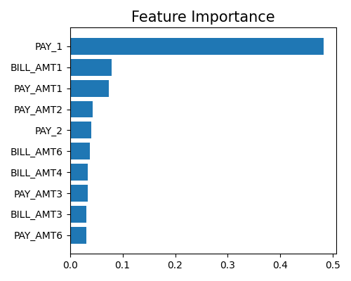 Feature Importance