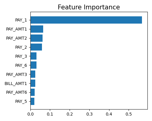 Feature Importance