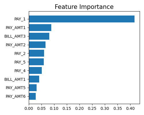 Feature Importance